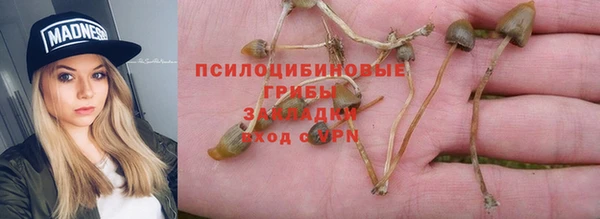 гашик Заводоуковск