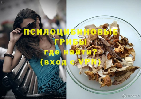 гашик Заводоуковск