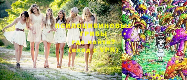 гашик Заводоуковск