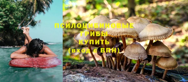 гашик Заводоуковск