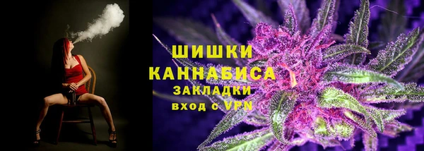 гашик Заводоуковск