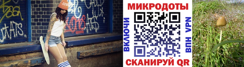 сколько стоит  Хотьково  Галлюциногенные грибы MAGIC MUSHROOMS 