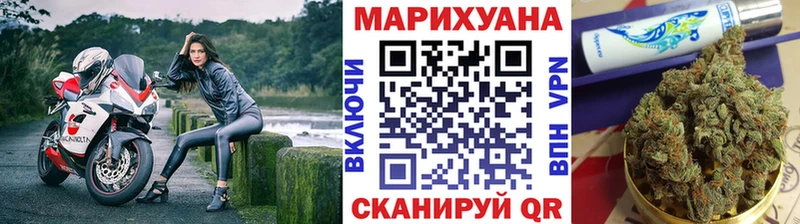 Шишки марихуана сатива  Хотьково 